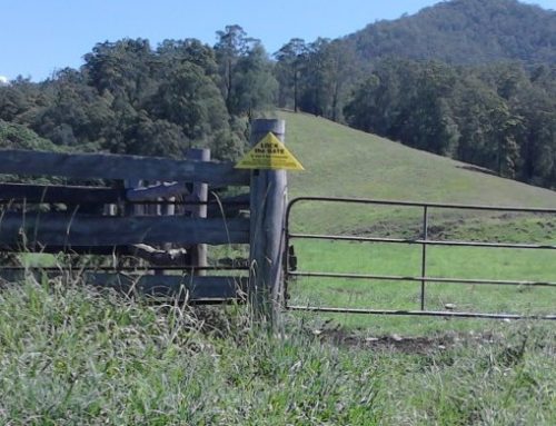 Mining in the Nambucca Valley